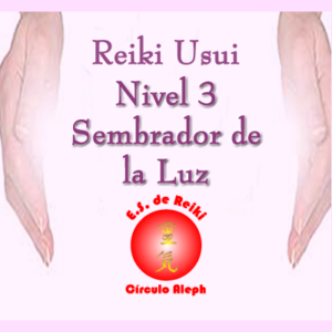 Reiki Nivel 3